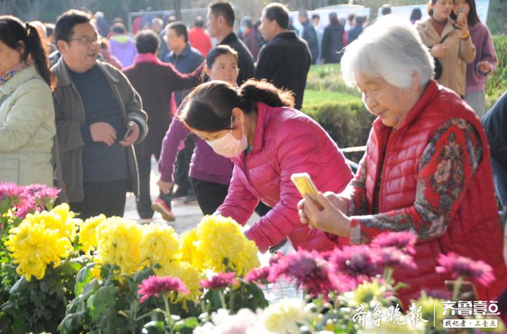 萱萱广场舞最新课堂，舞动健康的快乐之旅